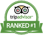 TripAdvisor Logo