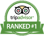 TripAdvisor Logo